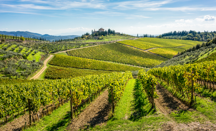How can the wine industry reduce emissions?